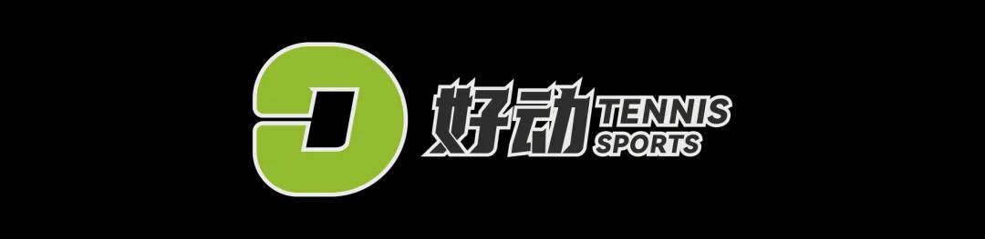 开云下载-史上第二高价格 美网冠军奖杯被拍卖 前世界第一破产后 荣耀也成抵债品